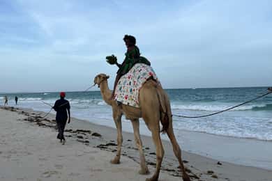 DIANI: BEACH CAMEL RIDE