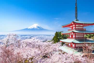Monte Fuji Visita privada con guía de habla inglesa