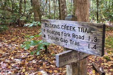 Gatlinburg: Tour delle cascate del Parco Nazionale Great Smoky Mts