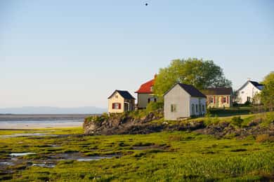 L'Isle-aux-Grues: Secret Islands of St. Lawrence Expedition