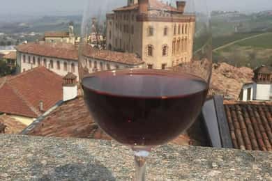 Piemonte: Vingårdstur, smag på Barolo, Barbaresco og lokal mad