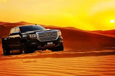Doha: Relax Desert Safari, Camel Ride, Inland Sea, Swimming