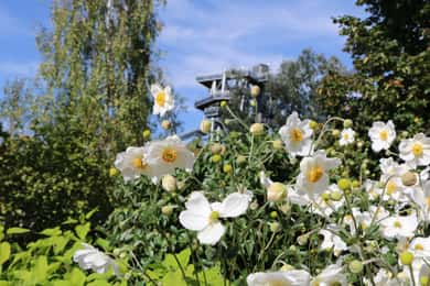 Tulln: DIE GARTEN TULLN Ingresso e guia de áudio