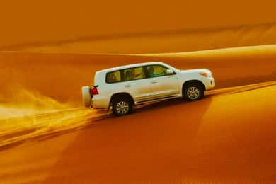 Abu Dhabi: Desert Safari with Camel Ride, BBQ and Quad Bike