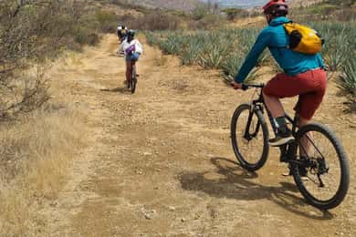 Monte Alban & Atzompa: MTB bike ride though local trails