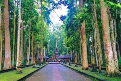 Från norra Bali: Tanah Lot, sangehskogen och Ulun Danu-templet