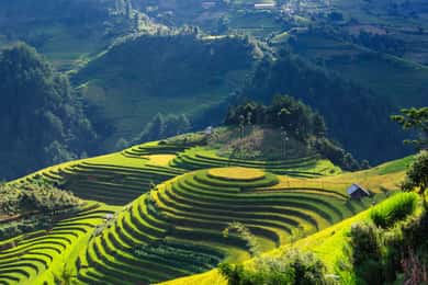 From Hanoi: Premium 3-Day Sapa Adventure with DCAR Limousine