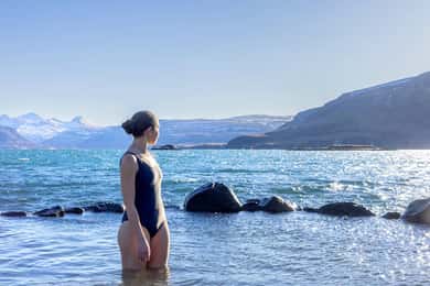 Desde Reikiavik: Ruta del Círculo Dorado y Termas de Hvammsvik