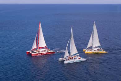 Montego Bay: Catamarã privado com bar jamaicano aberto