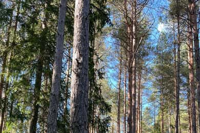 Oslo: Tours