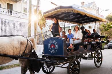 Charleston: Downtown Horse-Drawn Carriage Tour