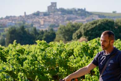 Fra Avignon: Châteauneuf du Pape halvdagstur i vinens tegn