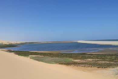 Walvis Bay: Scenic Sandwich Harbour Tour