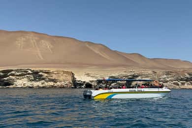 Vanuit de haven van San Martin: Ballestas-eilandentour in Paracas