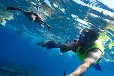 Bahía Drake: Excursión de Snorkel en la Isla del Caño con Almuerzo