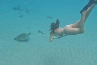 Privérondvaart over het hele westen (snorkelen met schildpadden)