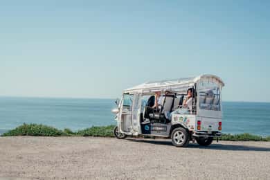 Porto Half Day Tuk Tuk Tour Clérigos, Seaside and Viewpoints