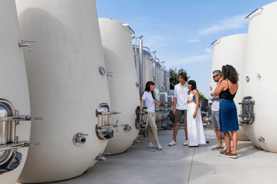 Valdobbiadene: degustazione di Prosecco, aperitivi, cantina e vigneti