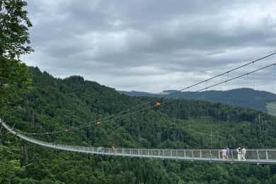 Basel: Schwarzwald, Wasserfall & Berge, Seen – private Tour