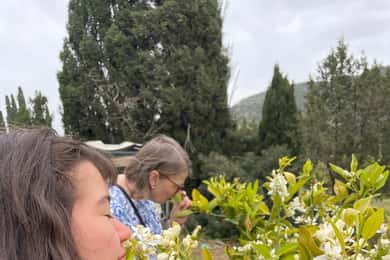 Near Cagliari: Wild Herbs and Healing at "In Our Garden"