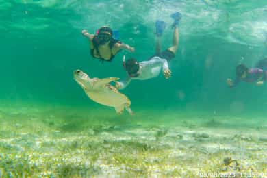 Mahahual: Rondvaart snorkelen
