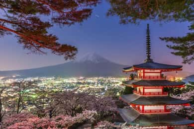 東京発：富士山と箱根のプライベート観光日帰りツアー