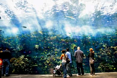 United States: Theme & amusement parks