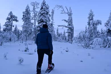 Saariselkä: Kekkosen kansallispuiston lumikenkäilyretki Urho Kekkosen kansallispuistossa