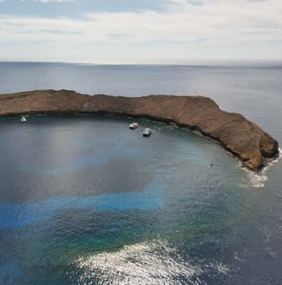 Molokini Crater Snorkel & Whale Watching (Dec 15 – Mar 30)