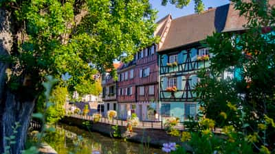 Babes in Colmar