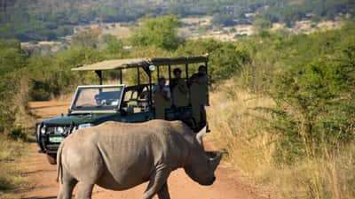 Johannesburg North attractions