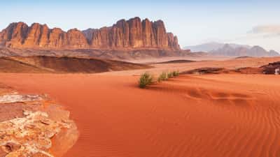 Wadi Rum Desert, Aqaba - Book Tickets & Tours | GetYourGuide