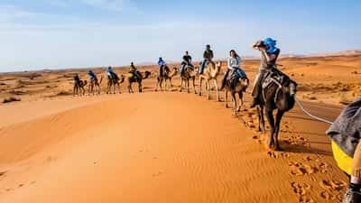 Luxury Sahara Desert Tour from Marrakech - Activities and Excursions in the Sahara Desert