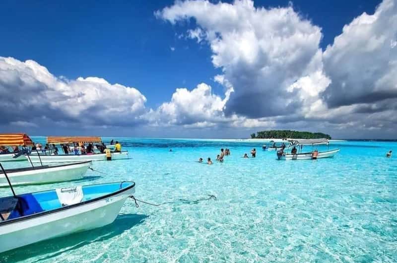 Mnemba Island Snorkeling gallery 4