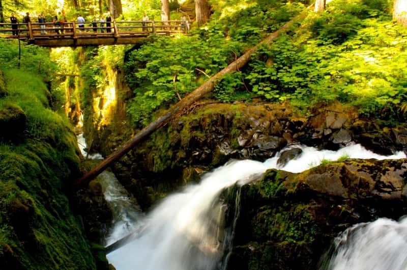 Olympic National Park, Port Angeles Book Tickets Tours
