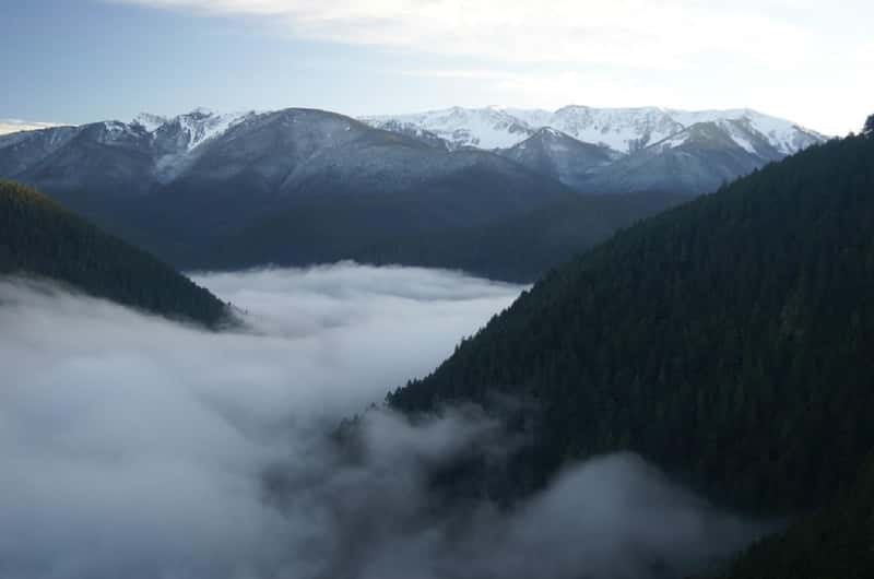 Hiking Tours Hurricane Ridge Best Hikes Olympic National Park