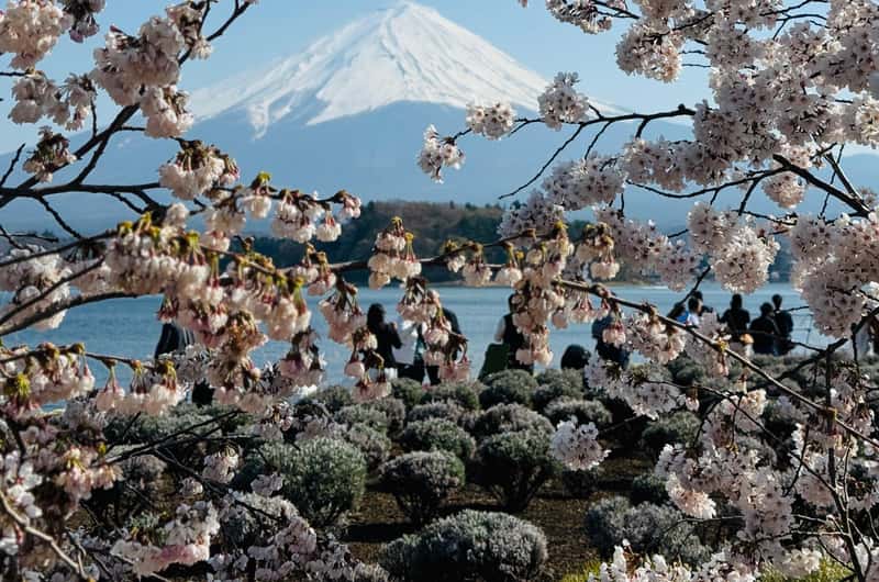 Hakone Ropeway, Hakone - Book Tickets & Tours | GetYourGuide