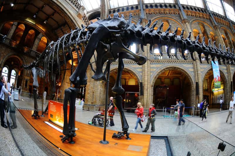 Natural History Museum, London, London Book Tickets Tours