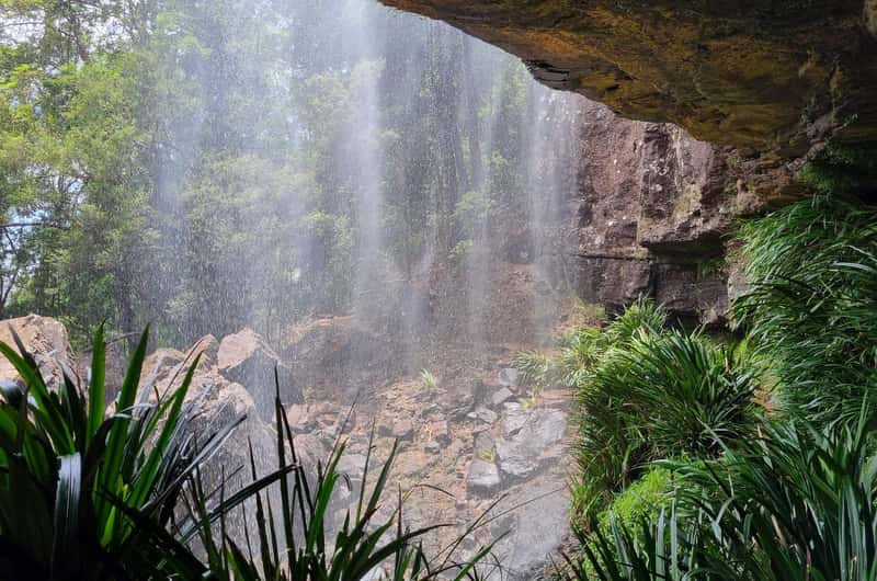 Springbrook National Park, Gold Coast Book Tickets Tours - Main Image
