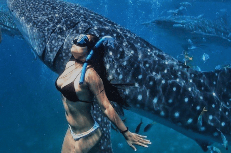 Pescador Island, Moalboal Book Tickets Tours GetYourGuide