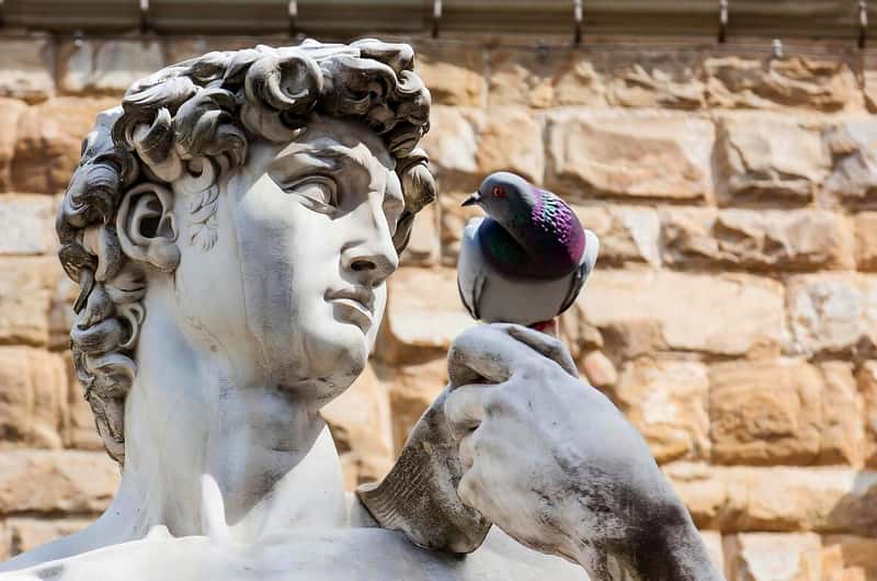 ミケランジェロのダビデ像 チケット＆ツアー | ゲットユアガイド