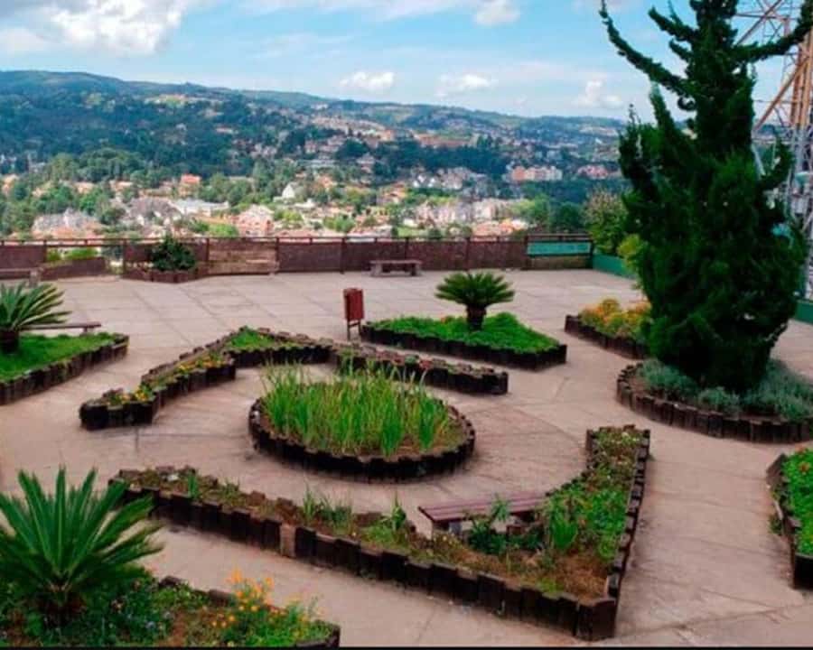 Colagem de mídia