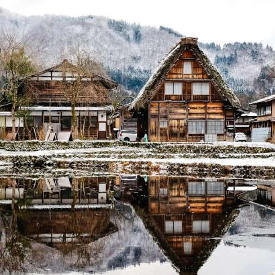 メディア コラージュ