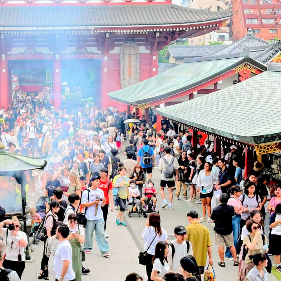 Awesome Private Tour: Tsukiji, Asakusa, Shinjuku, Shibuya