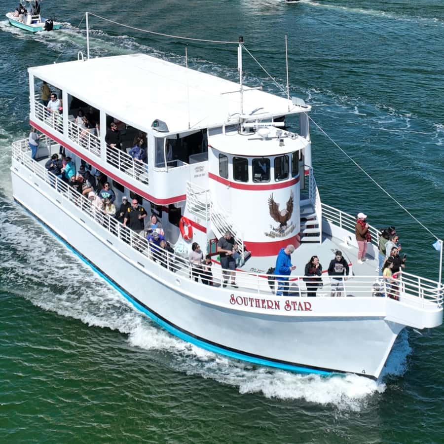 Destin: Dolphin Cruise aboard a Glass-Bottom Boat