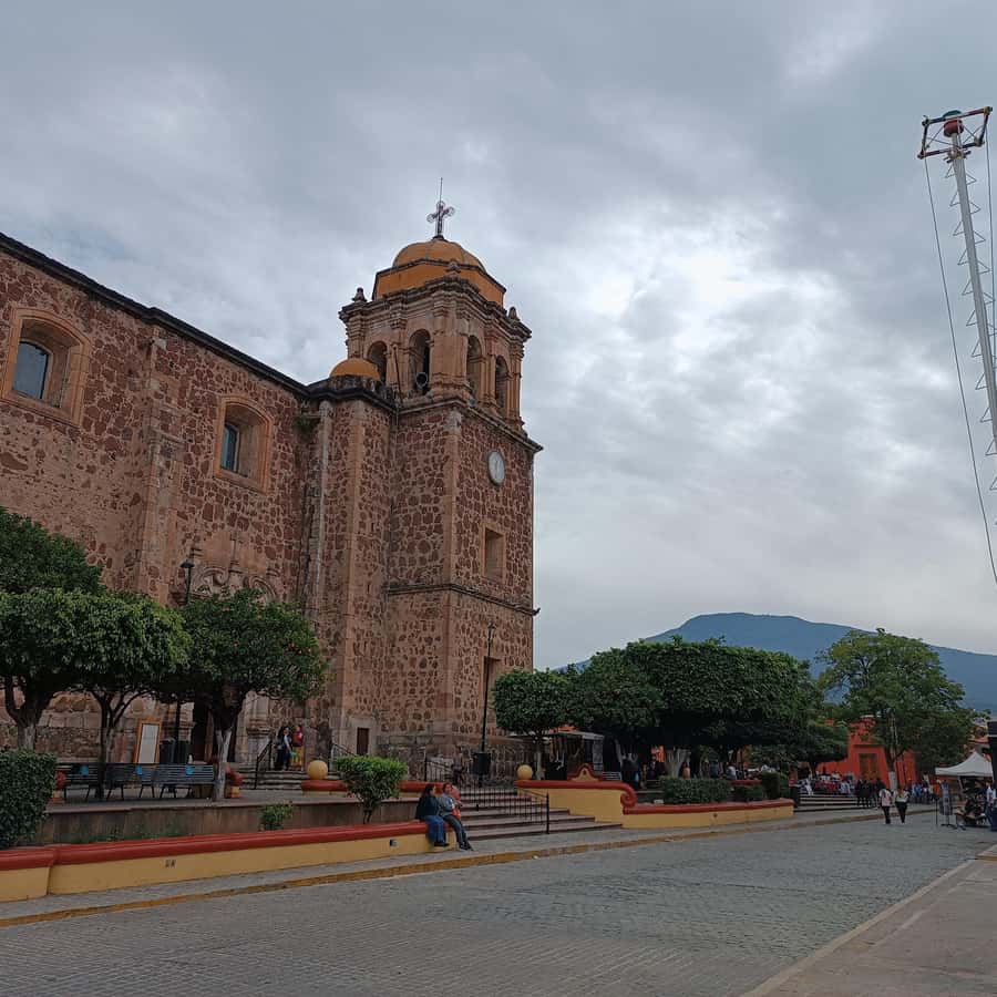 Galería de fotos para redes
