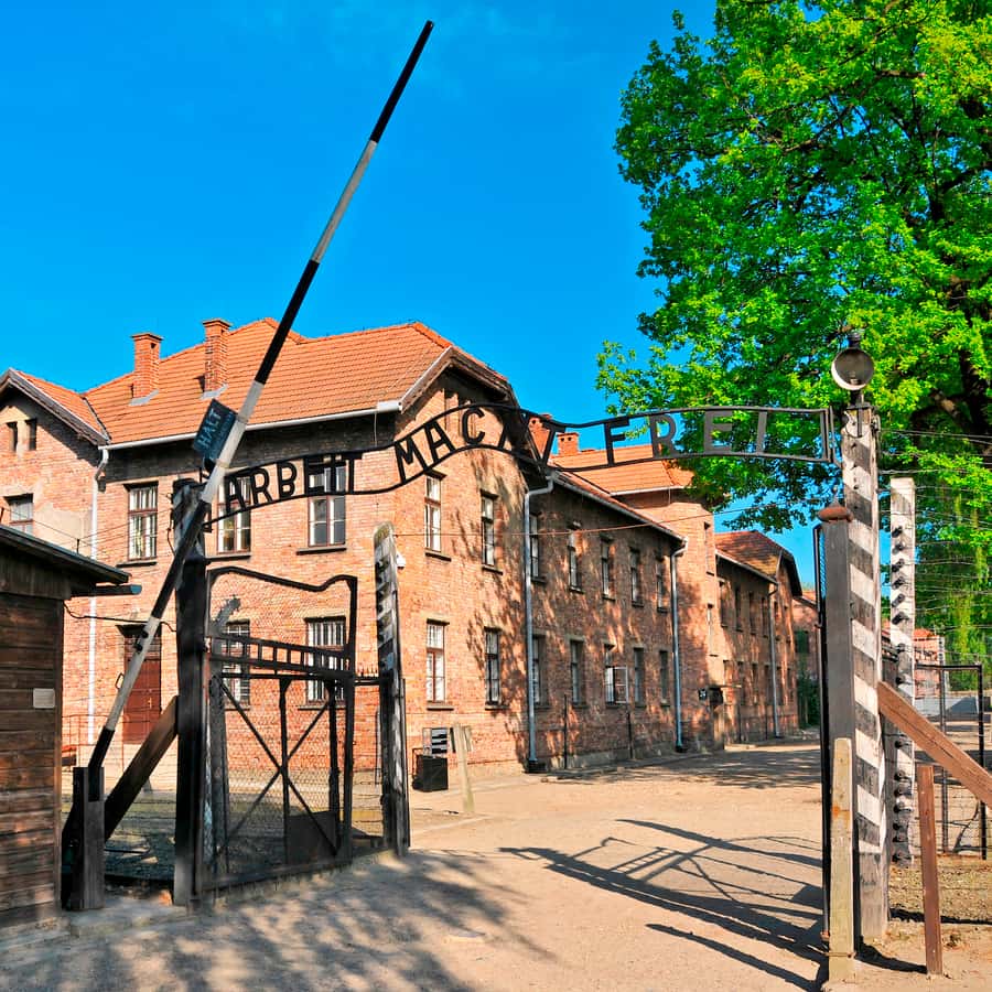 Galerie média