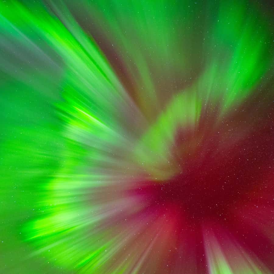 Galería de fotos para redes