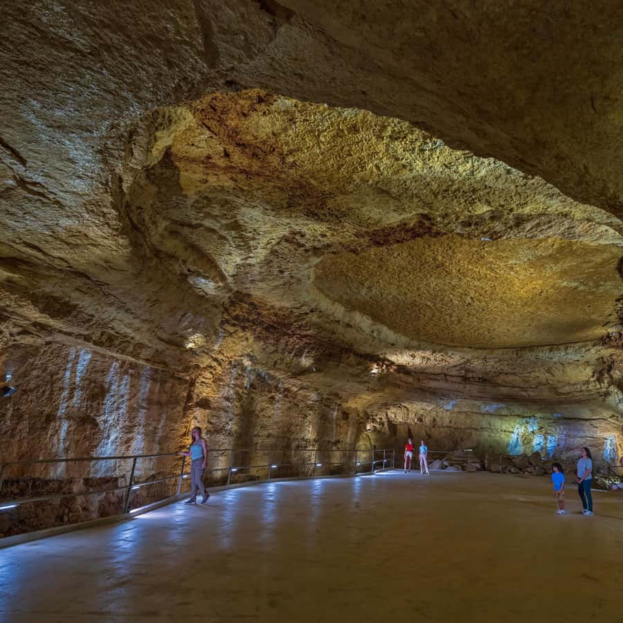 San Antonio: Natural Bridge Caverns Hidden Wonders Tour