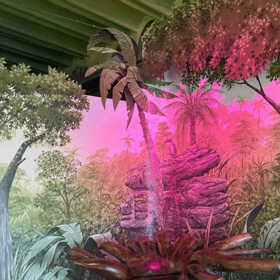 Media collage